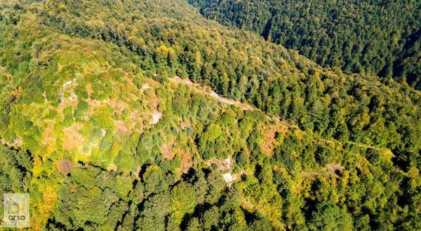 Bursa Oylat Kaplıcalarına 5km! Uygun Fiyata 422 M² İmarlı Arsa !