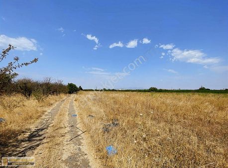 Yatırım İçin Son Fırsatlar