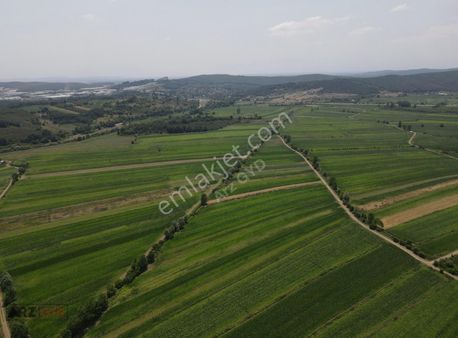 Arz Gyd - Söğütlü Gündoğan ' Da 14 Metre Yola Cepheli Tarla !