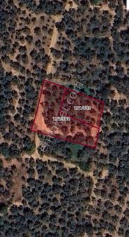 Çakırlı'da Fırsat Kare Parsel Bakımlı Zeytinlik