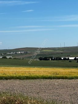 Değirmenköy 9200 M2 Güzel Konumdan Arazi