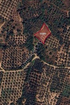 Çakırlı'da Göl Manzaralı Fırsat Tarla