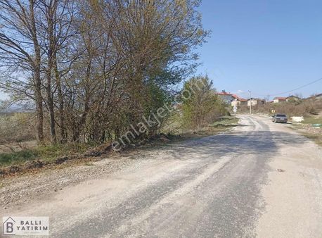 Ballı'dan Harmancıkta Asfalt Cepheli, Tek Tapu 4.160 M² Tarla