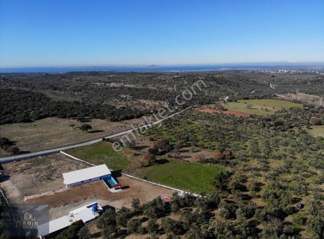 Çanakkale Ezine Gökçebayır Köyünde Satılık Asfalt Cepheli Tarla