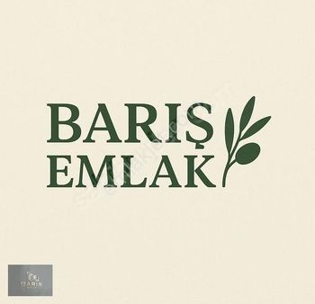 Muğla Milas Ketendere'de Satılık Küçük Zeytinlik