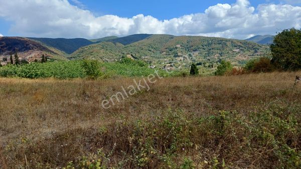 Kocaeli Karamürsel Akçat 3539 M² %5 İmarlı Yatırımlık Tarla