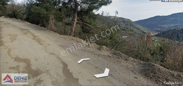 Doğancı Da Manzaralı Köy İçi Yola Cephe Satılık 1858 M2 Tarla