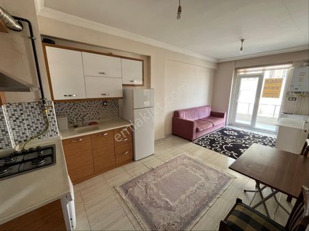 Erenler’de Doğalgazlı 1+1 Eşyalı Satılık Daire