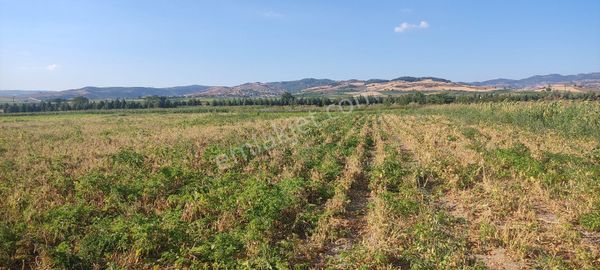 Bursa Yenişehir Ebeköy Suyu Var Tarla