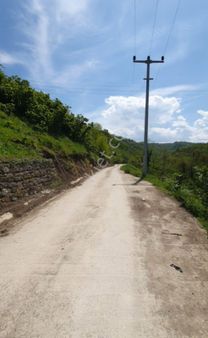 Satılık Fındık Bahçesi – Ordu / Altınordu / Yıldızlı Mahallesi