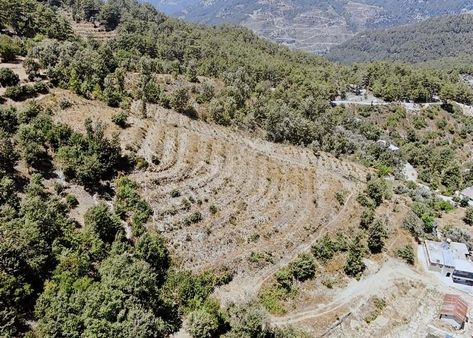 Alanya Gümüşkavak'da 5 Dönüm Tarla