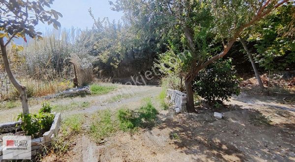 Rw Nefes'ten Burhaniye Börezli'de Yol,su,elektrik Olan Zeytinlik