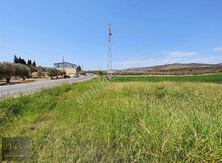 Manisa Yunusemre Üçpınar Köyünde Satılık 19.235 Dönüm Tarla