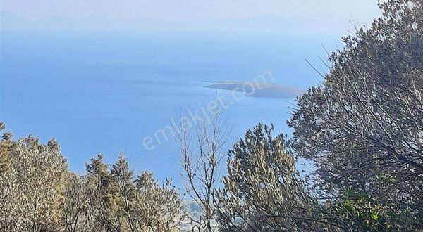 Startkey Pelit Gayrimenkul'den Sındı'da Deniz Manzaralı Tarla