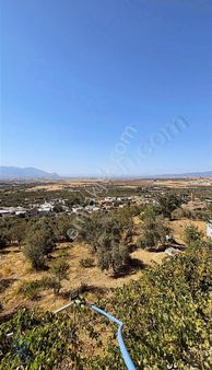 Kaçmaz Fırsat Gökçeyurt'ta 3 Dönüm Arsa Şok Fiyata