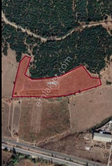 20 Dönüm Sera Arazısı İsparta