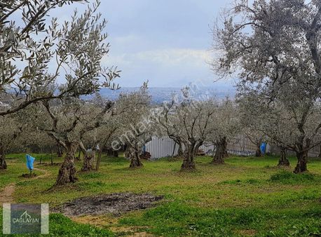 Bademli'de Mükemmel Konumda Satılık Villa Arsası