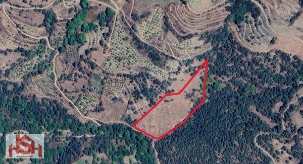 Kürede Yolu Açık İnşaat İzni Olan Full Manzaralı 8000m2 Yemişlik
