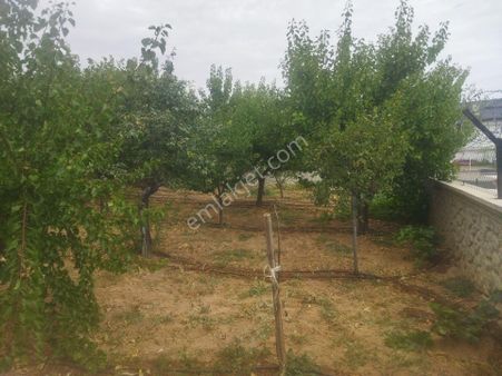 Kelebekler Vadisi Karşısı 2 Kata İmarlı Arsa