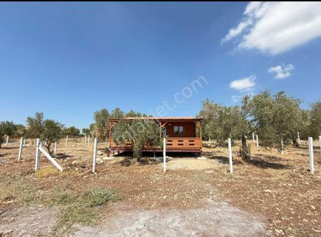 Cool"dan Bungalov Ve Arsası