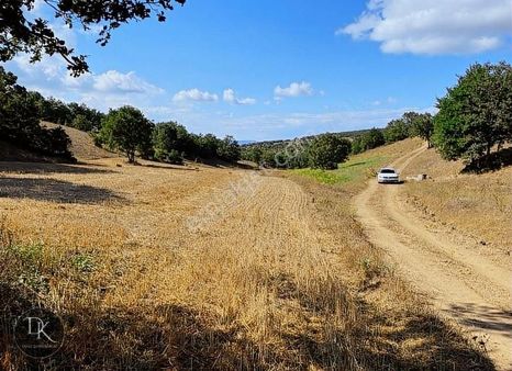 Deniz Gayrimenkul'den Söğüt Ortaca'da Yatırımlık Arsa