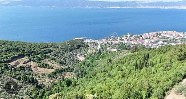 Deniz Gayrimenkul'den Ereğli'de Deniz Manzaralı Arazi