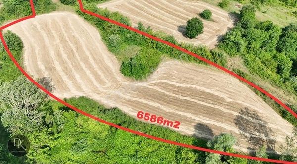 Deniz Gayrimenkul'den Yalakdere'de 6586m2 Tarla