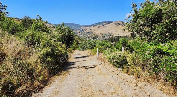 Deniz Gayrimenkul'den Kızderbentte %5 İmarlı Tarla