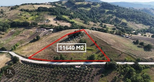 Deniz'den Fulacık'ta Yola Cephe 11,6 Dönüm Arazi