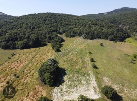 Deniz Gayrimenkul'den Fulacık'ta 8167 M² Satılık Arazi