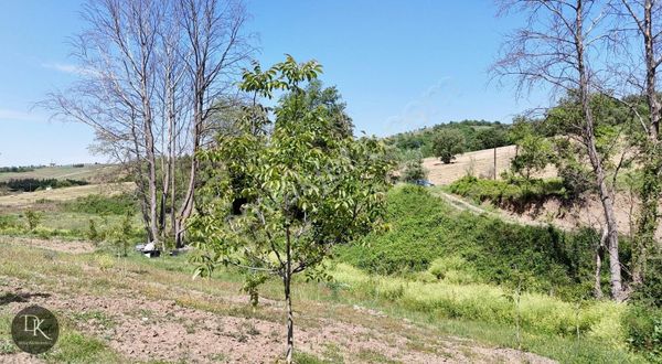 Deniz Gayrimenkul'den Avcıköyde Satılık 20 Dönüm 2 Parsel Arazi