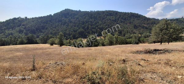 Bursa Osmangazi Küçükdeliller Köyü