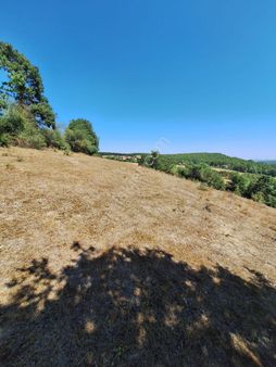 “doğayla İç İçe Yatırım Fırsatı – Kavak Merkeze 3 Km, 6541 M² Tek Tapulu Tarla”