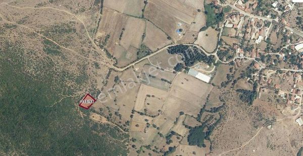 Balıkesir Susurluk Söve Mah Satılık Bağ