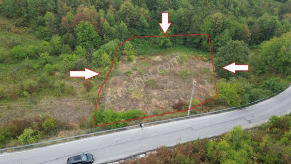 Kocaeli Karamürsel Pazarköy 3077 M² Yola Cephe Satılık Tarla