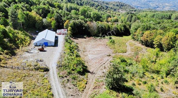 İrşadiye Köyü'nde 4.756 M2 Satılık Tarla
