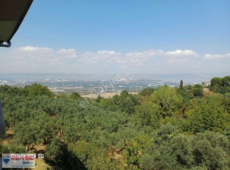 Yalova Altınova Subaşı Kalıcı Konutlarında Satılık 3+1 Daire