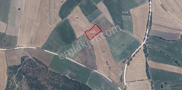 Balıkesir Susurluk Söve Mah Satılık Tarla