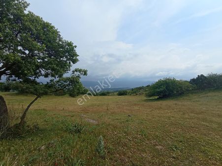 Era Söz Den Balıkesir Sındırgı Satılık Tarla