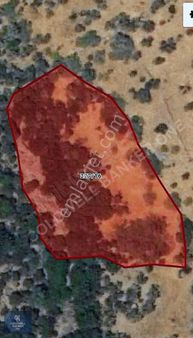 Çanakkale Ayvacık Babakale Satılık 3400 M2 Tarla Zeytinlik Uygun