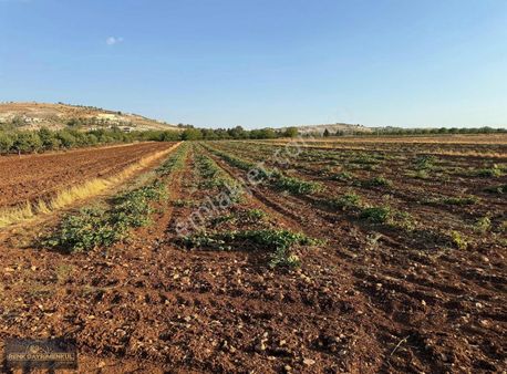 R En K Ten Burç Esentepe De İmara Yakın Bağ Evine Uygun Tarla