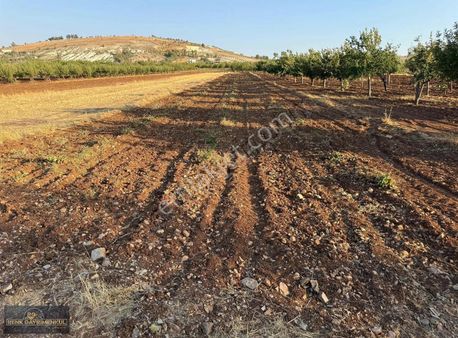 Renk Ten Burç Esentepe De Tek Tapu Bağ Evi Yapımına Uygun Tarla