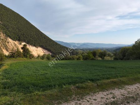 Wisrem Bolu'dan Abant Yolunda Kelepir Tarla