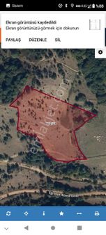 Suluova Amasya Eğrinük Köyü Derinöz Narajın Yamacında