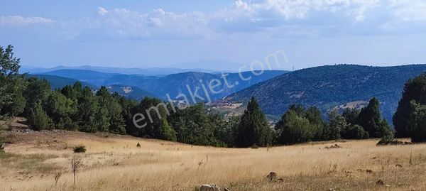 Bursa Keles Sorgun Köyü’nde 1760 M² Satılık Tarla