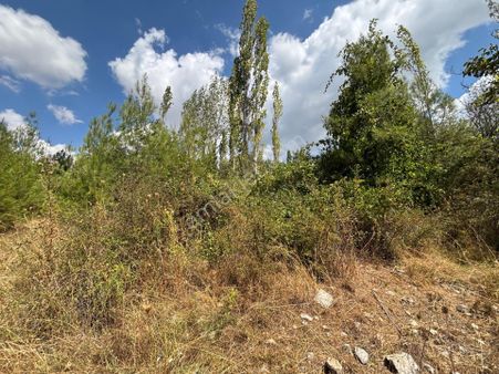 Satılık Bahçe – Antalya Kaş Yuvacık Mahallesi Aşağı Dargaz’da