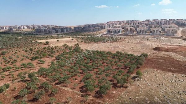 İtibardan Burç Karakuyu Güneyşehir 8785 M2 İmar Dibi Fıstık