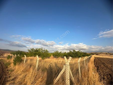 Kahramankazan Ciğir'de Satılık Tek- Kök Tapu 4700 M2 Ceviz Bahçesi