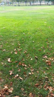 Çatalca Muratbeyde 36000m Satılık Düşeş Kazandıracak Arsa No:365