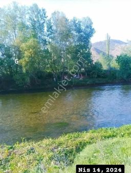 Sakarya Nehrine Sıfır